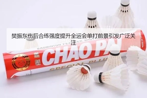 樊振东伤后合练强度提升全运会单打前景引发广泛关注(BoyuSports)